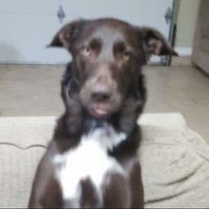 Meet your Posher, Sam